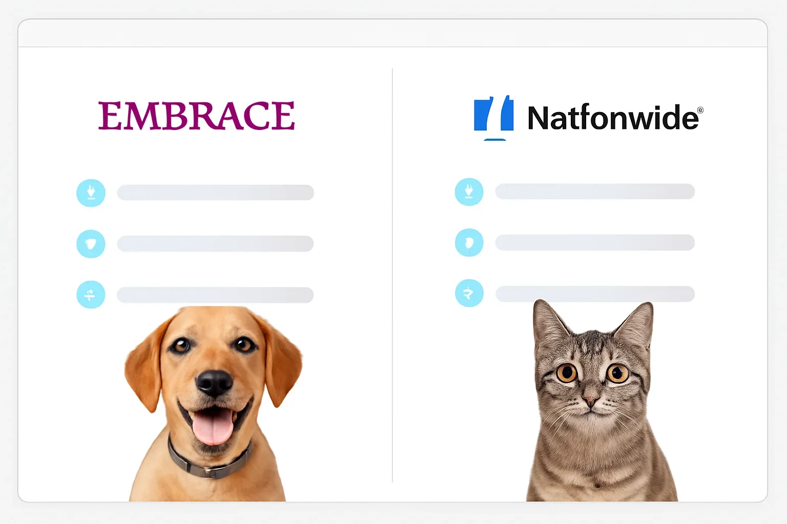 Embrace vs Nationwide page hero image showing pet insurance planning and comparison guidance