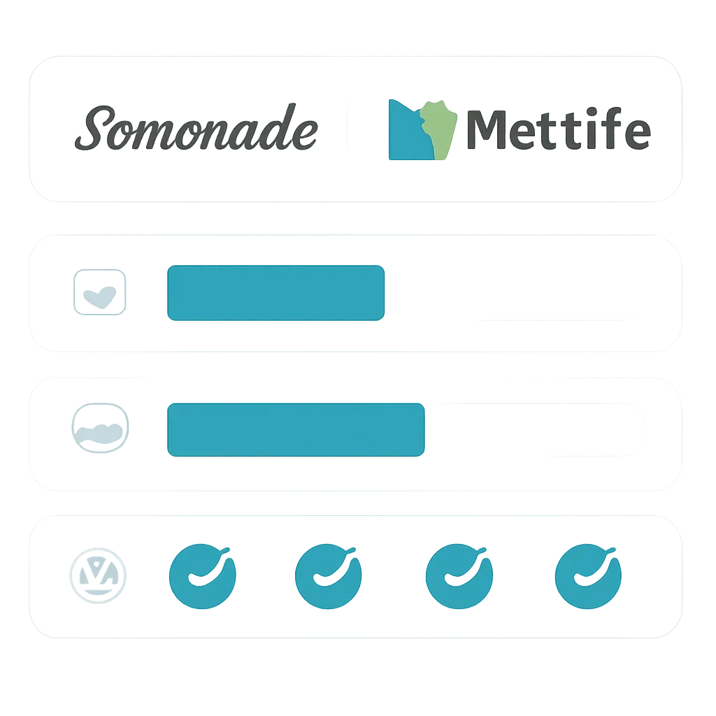 Lemonade vs MetLife page mid-section image showing coverage review and policy comparison details